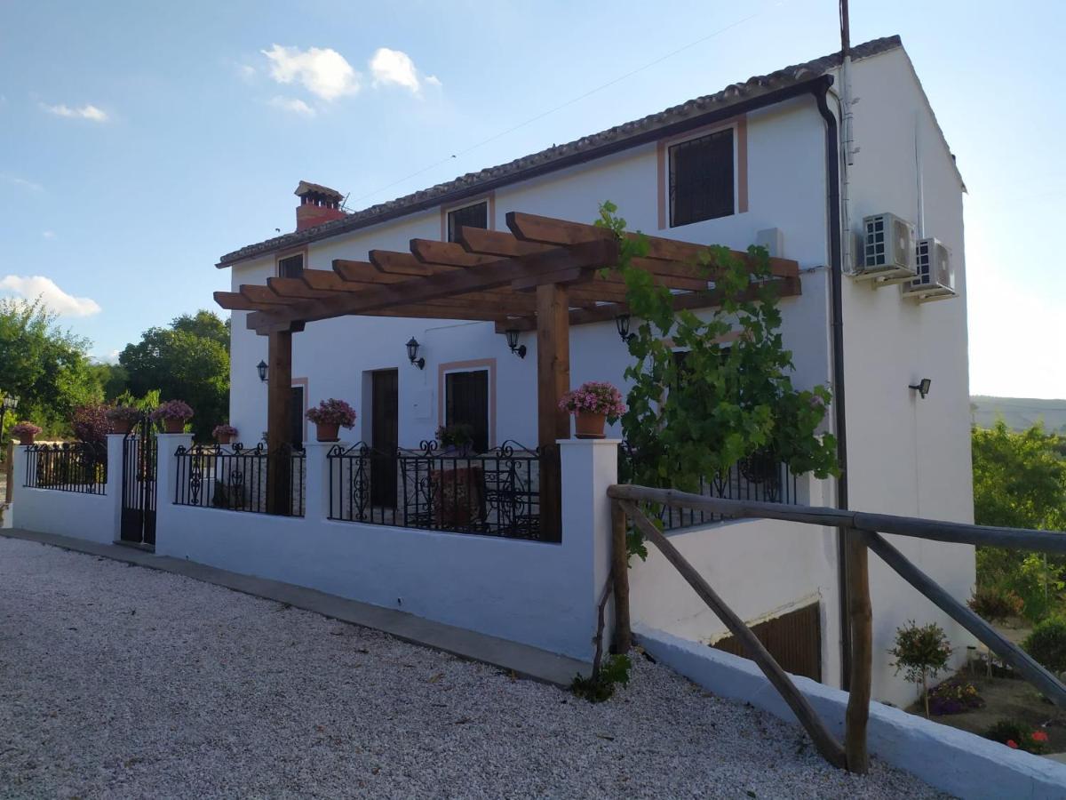 Gasthaus La Casa De La Abuela Setenil De Las Bodegas Exterior foto