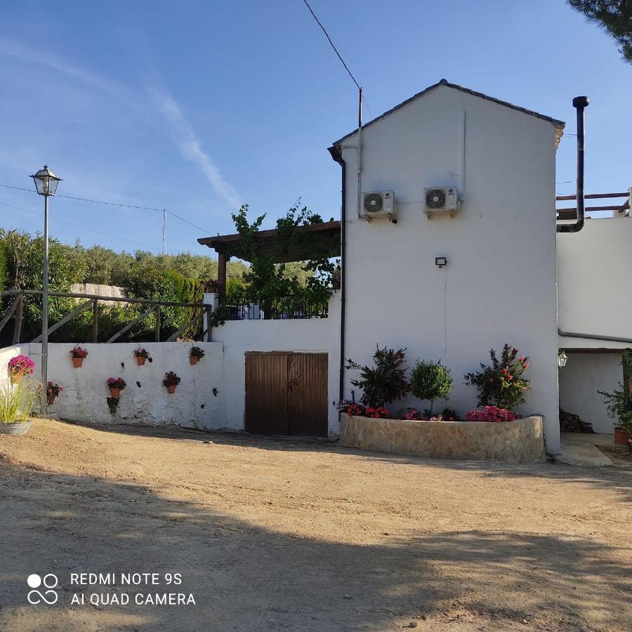 Gasthaus La Casa De La Abuela Setenil De Las Bodegas Exterior foto